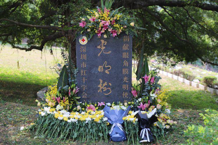 用爱延续生命深圳举办2024年人体器官捐献者缅怀活动(图2)