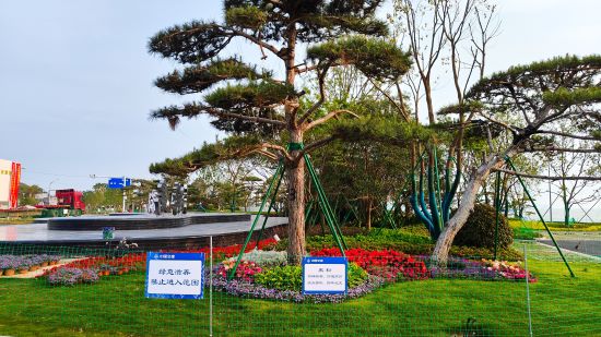 为海山生态旅游岛披上“盛装”(图2)