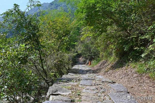 安徽有个小县旅游名气不大却是一个成语的发源地距杭州仅4小时(图4)