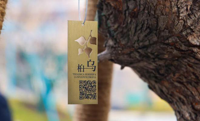 金沙操盘成功经验：从河南火到全国各地（实地考察+主题演讲）(图12)