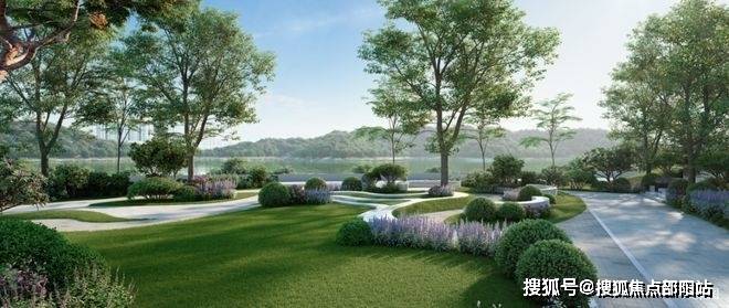 深圳天湖岛花园售楼处(网站)天湖岛花园楼盘详情-价格-户型图(图9)