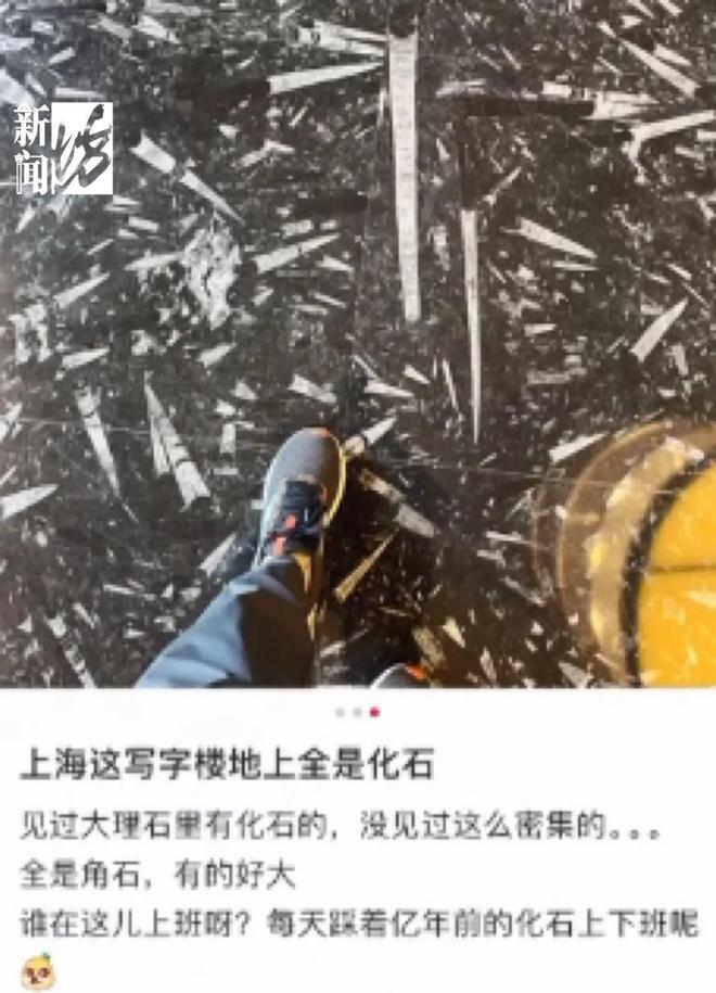 嘉定“小孩哥”儿科就诊发现化石↗很多人还真忽略了……(图4)