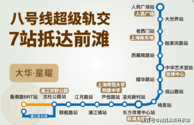 大华星曜-大华星曜(上海)2024首页网站-户型图价格户型容积率(图11)