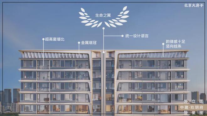 建筑石料花岗岩(图4)