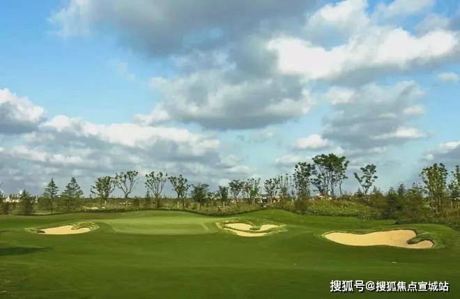 联仲都悦汇首页网站-联仲都悦汇2024欢迎您楼盘详情价格户型(图8)
