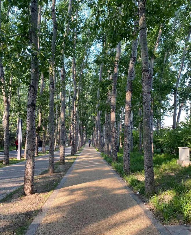 丽都悦府(售楼处)-2024丨北京朝阳丽都悦府欢迎您丨地址价格(图3)