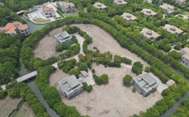 上海紫园2024网站发布丨上海紫园独栋别墅售楼处中心欢迎您(图4)
