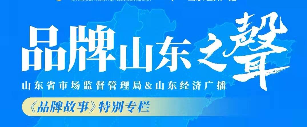 知识产权看山东聊城市5个项目入选2024年山东省专利导航项目名单