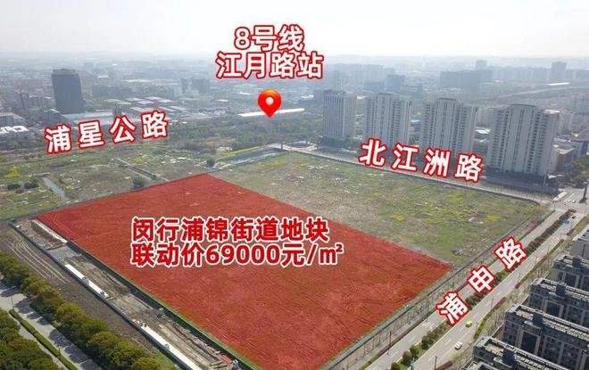 闵行大华星樾2024网站发布丨大华星樾售楼中心欢迎您(图6)