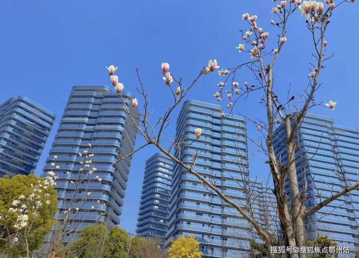 江一云境-江一云境(滨江)2024首页网站-户型图价格户型容积率(图3)