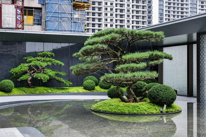 明阳水木槜园网站-水木槜园2024最新房价＋户型图＋环境配套(图12)