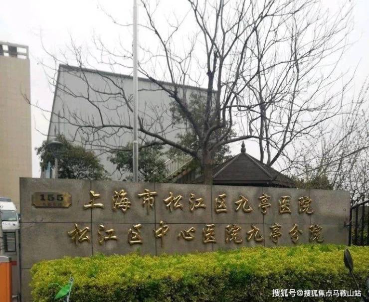 洋江唐顿公馆-洋江唐顿公馆2024年最新房价房型图户型图_交通地铁_小区配套(图18)