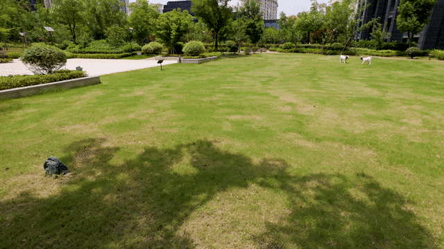 洋江唐顿公馆(2024年洋江唐顿公馆)首页网站-楼盘详情-户型配套(图14)