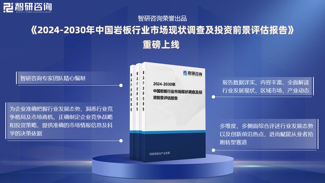 2024年中国岩板产业发展环境、重点企业分析及市场前景预测报告