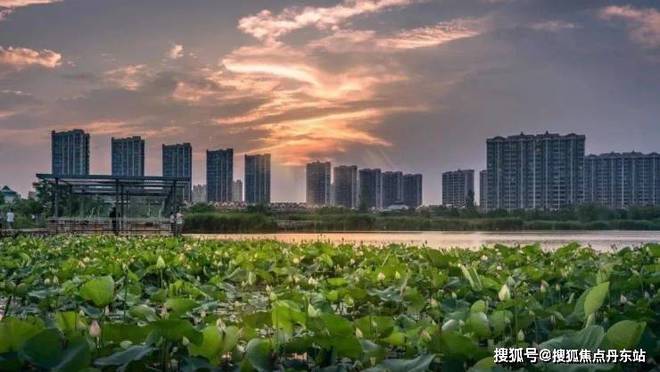 『虹桥嘉悦府』2024网站-虹桥嘉悦府楼盘详情-上海房天下(图5)