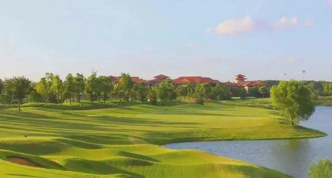 联仲都悦汇2024网站-联仲都悦汇楼盘详情-上海房天下(图14)