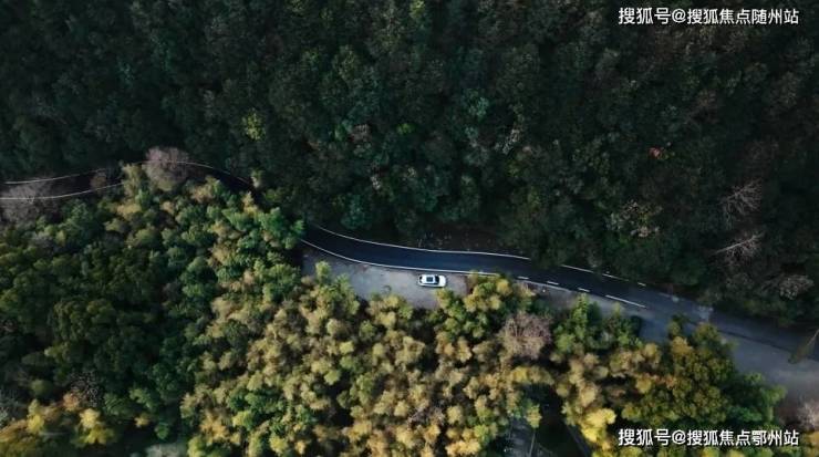 菲郦雅院-2024萧山(菲郦雅院)首页网站-楼盘详情-户型配套(图6)