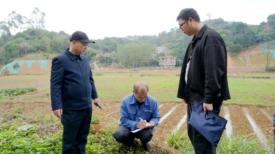 年产370万立方米优质花岗岩建筑骨料项目建设顺利推进(图9)