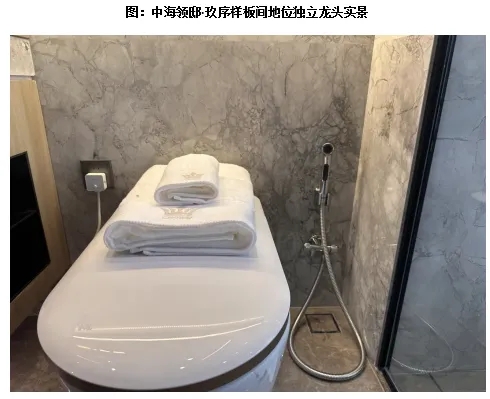 产品洞察下半年上海豪宅迭代解码：细节决定奢华新高度(图11)