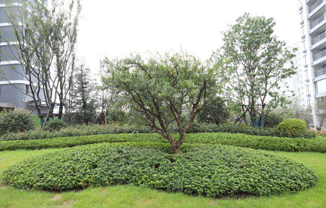 青岛灵山湾天玺(售楼处电线最新网站首页(图3)