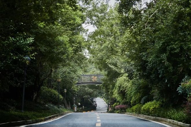 全石材干挂+低密法式园林！今年最有牌面撑场的豪宅竟是它！(图5)