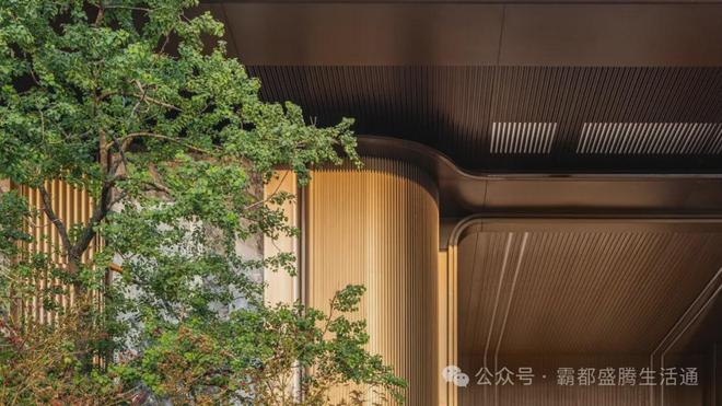就在天鹅湖！合肥人国庆最强攻略亿元超跑、爱马仕展……(图2)