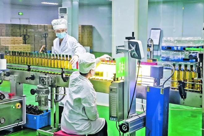 10余家博州企业组团到“进博会”交朋友！