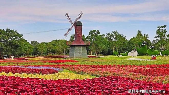 华发观澜半岛(网站)-2024华发观澜半岛地址-楼盘详情(图22)