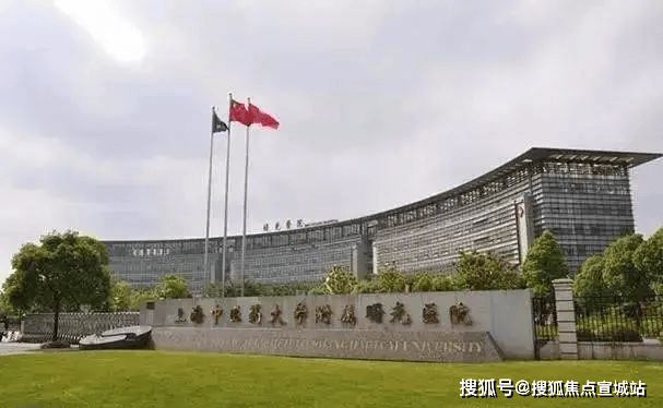 西派海上售楼处(2024售楼中心)首页网站-上海西派海上样板间(图23)