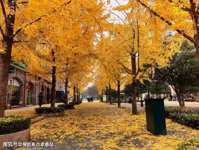 古北悦公馆【2024发布】古北悦公馆最新楼盘详情-上海房天下