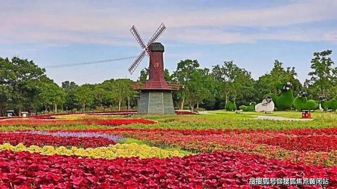 2024浦东华发观澜半岛(售楼处发布)网站-楼盘百科-上海房天下(图19)