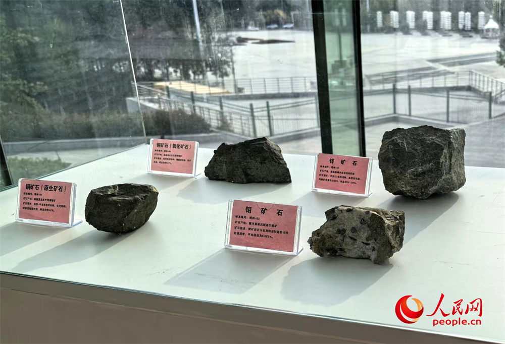 新疆深挖“矿”潜力集中出让182个矿业权项目(图2)