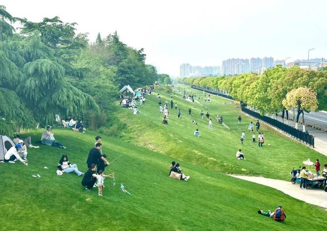 大华星樾-售楼处(大华星樾)网站-楼盘百科-2024上海房天下(图33)