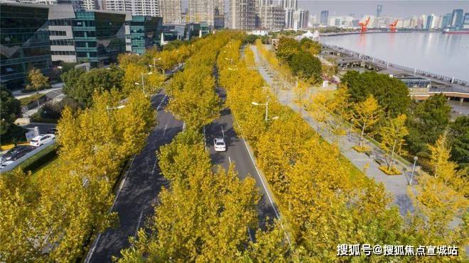尚海湾(尚海湾售楼处)首页网站丨最新房价-2024年楼盘测评楼盘详情(图6)