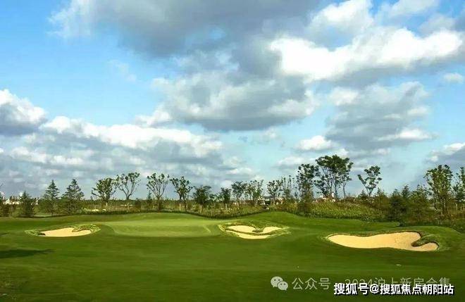 闵行联仲都悦汇售楼处2024联仲都悦汇网站-楼盘详情-户型配套(图7)