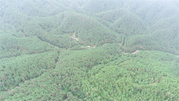 广东台山储量约189亿方、800万方年砂石大矿再挂牌出让