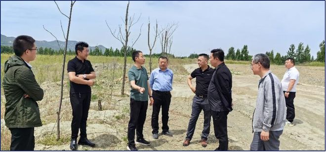 2024年山东省矿产资源保护监督工作十大进展(图8)