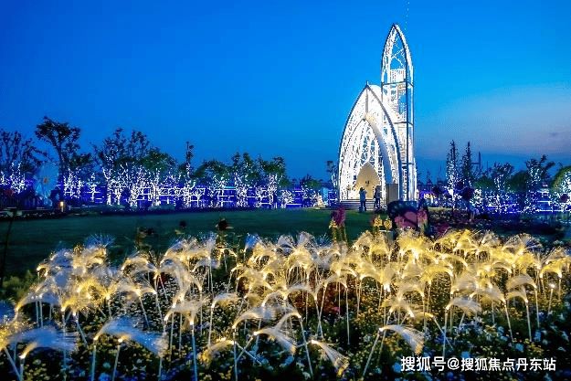 大华星曜(2025)大华星曜优惠折扣-2024最新楼盘测评-户型配套(图21)