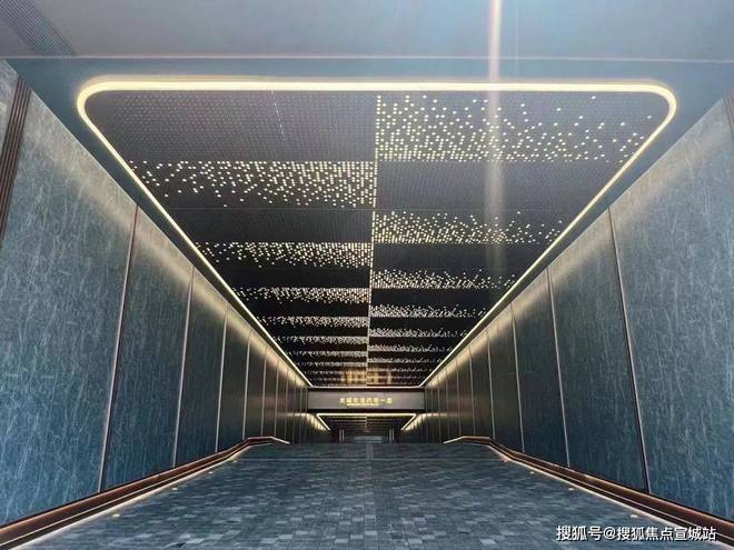 『大华·星曜』2024网站发布-彻彻底底火了究竟发生了啥？(图5)