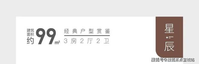 『大华·星曜』2024网站发布-彻彻底底火了究竟发生了啥？(图9)