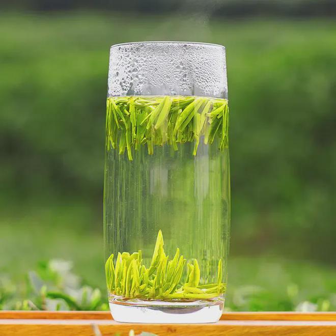 二月茶香何处寻？介绍三种早春绿茶(图3)