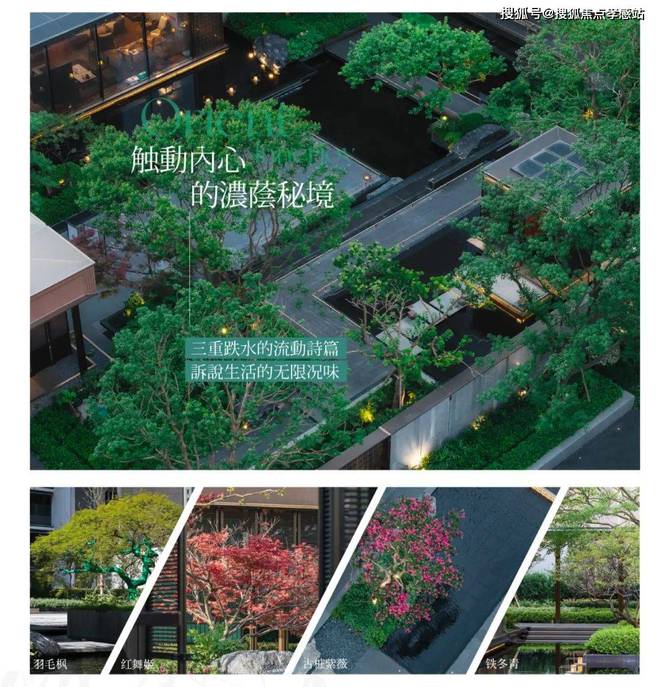®保利海上瑧悦宝山保利海上瑧悦售楼处发布：引爆市场热议(图30)