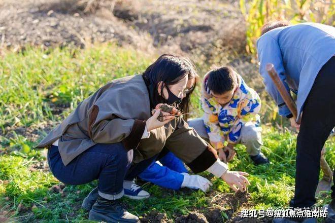 全面测评：春风湖滨售楼处发布-春风湖滨楼盘详情-周边设施(图10)