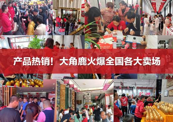 瓷砖加盟选什么品牌十大瓷砖品牌大角鹿加盟优势解读(图7)