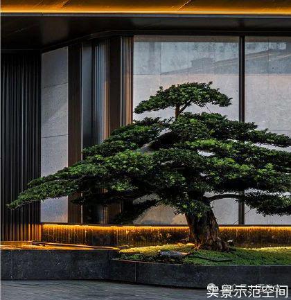 ☏招商时代潮派网站时代潮派售楼处发布：城市生活新境界(图3)