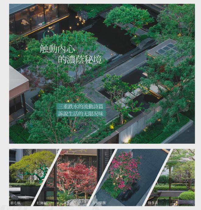 -保利海上臻悦楼盘详情-预约优惠-上海房天下2025新房推荐(图24)