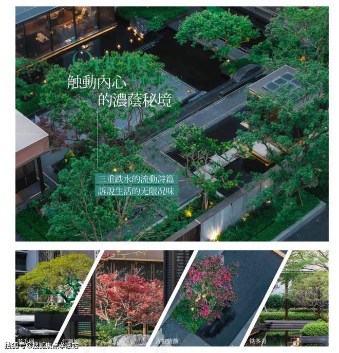保利·海上瑧悦(2025售楼处)多维度解读楼盘详情-上海房天下(图20)