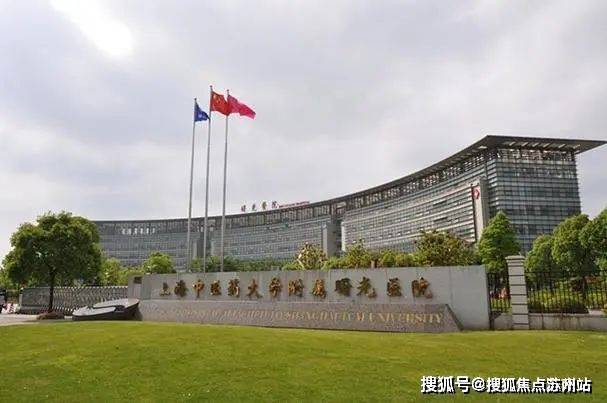 浦东西派海上(2024年西派海上)首页网站-楼盘详情-户型配套(图26)