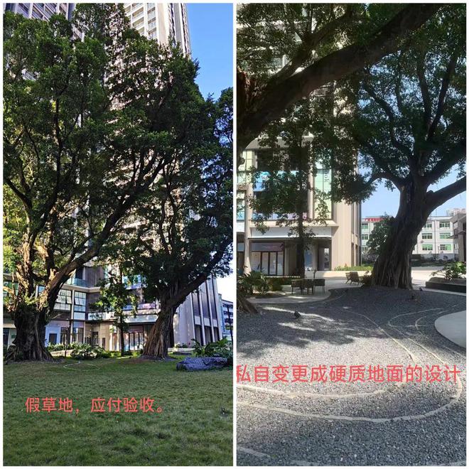 追踪报道保利置业在深圳的冒进与崩塌(图6)
