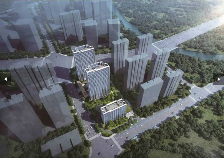 瑶海区伟星长城御澜道项目户型图-学区(图3)